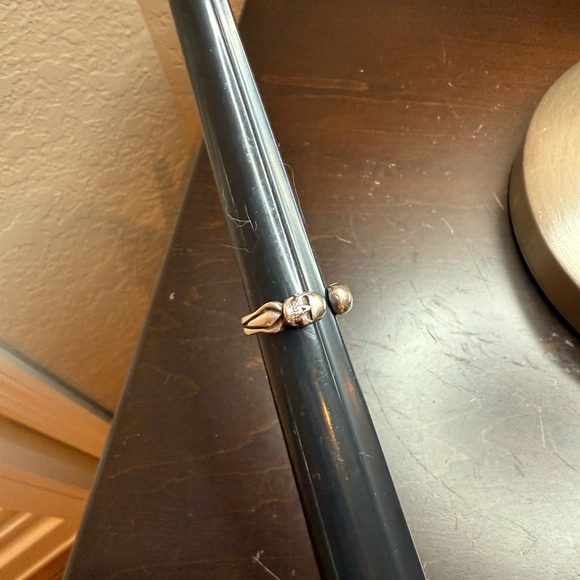 The great frog - Picture 2 of 4